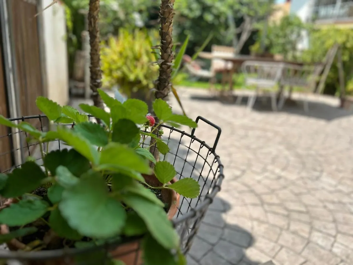 Bed & Breakfast At Home In Malaga Stay & Solo Travellers Rincón de la Victoria