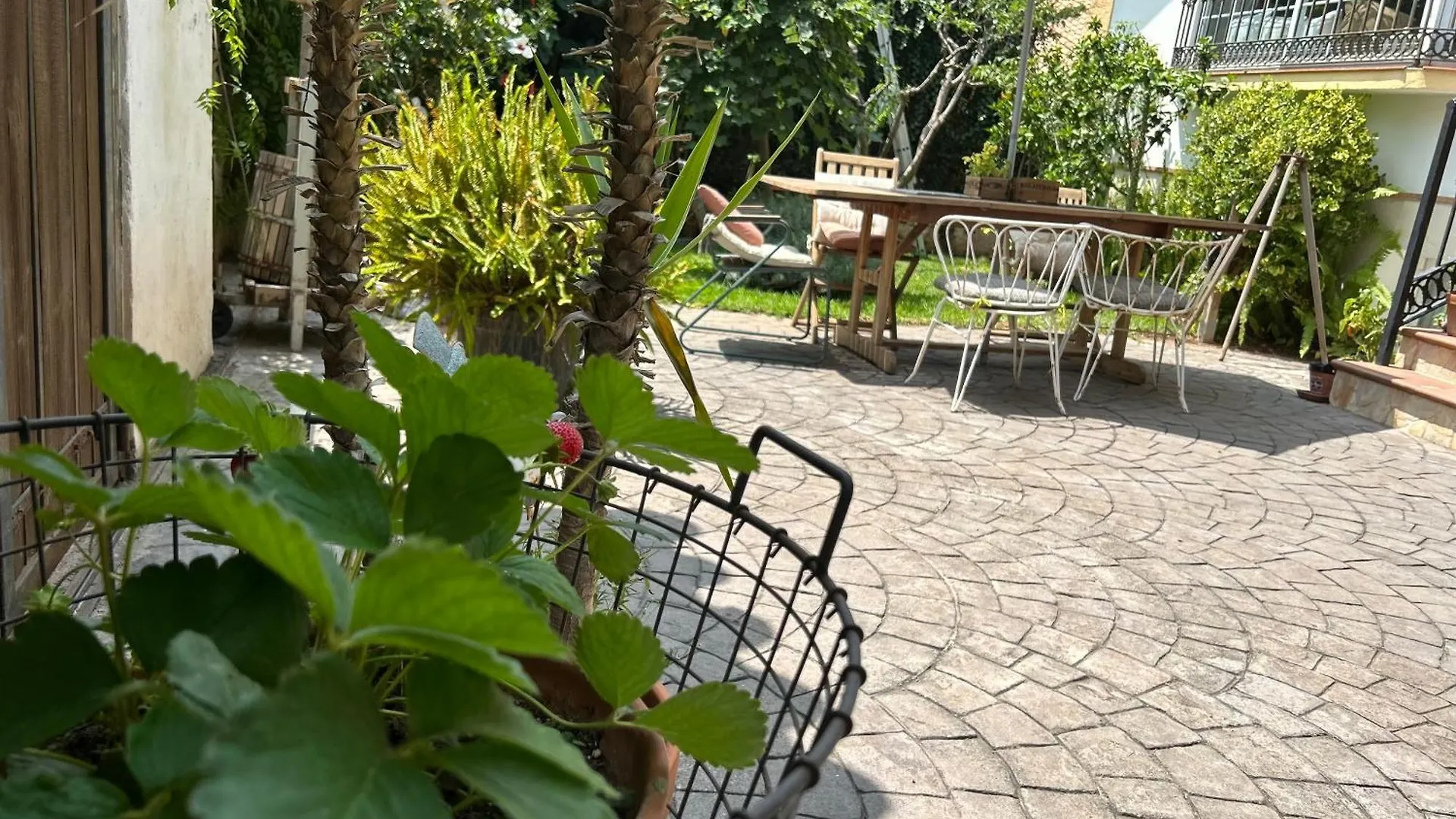 Bed & Breakfast At Home In Malaga Stay & Solo Travellers Rincón de la Victoria