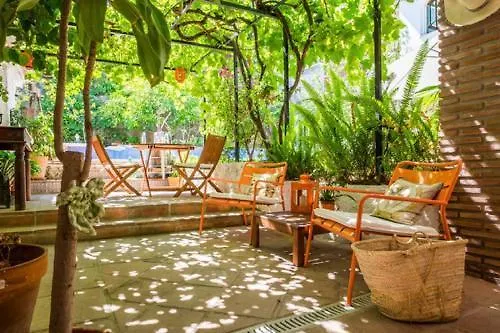 At Home In Malaga Stay & Solo Travellers Rincon de la Victoria Bed & Breakfast